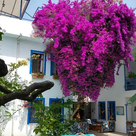 Dalyando Dalyan